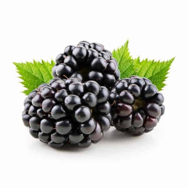 Blackberries