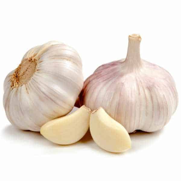 Garlic