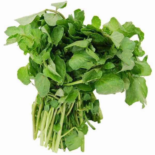 Watercress