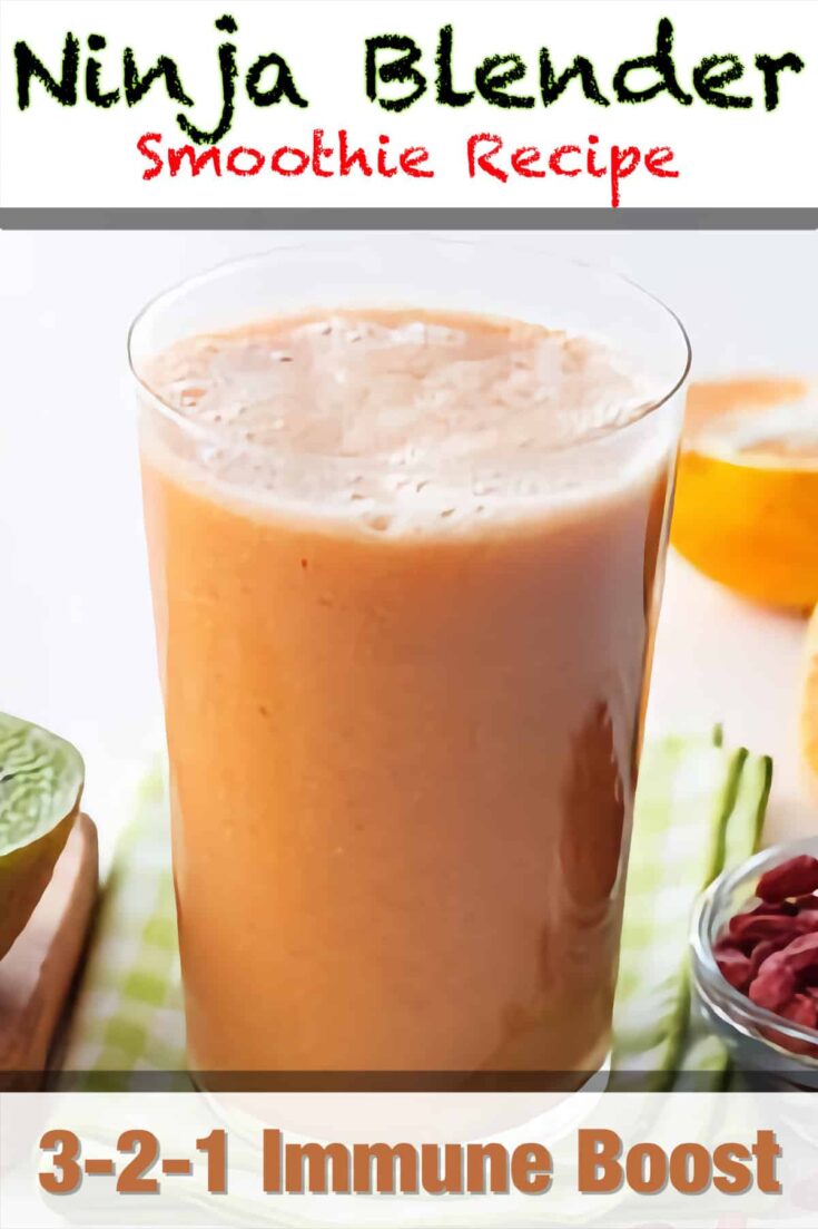 ninja blender 3 2 1 immune boost smoothie recipe pin