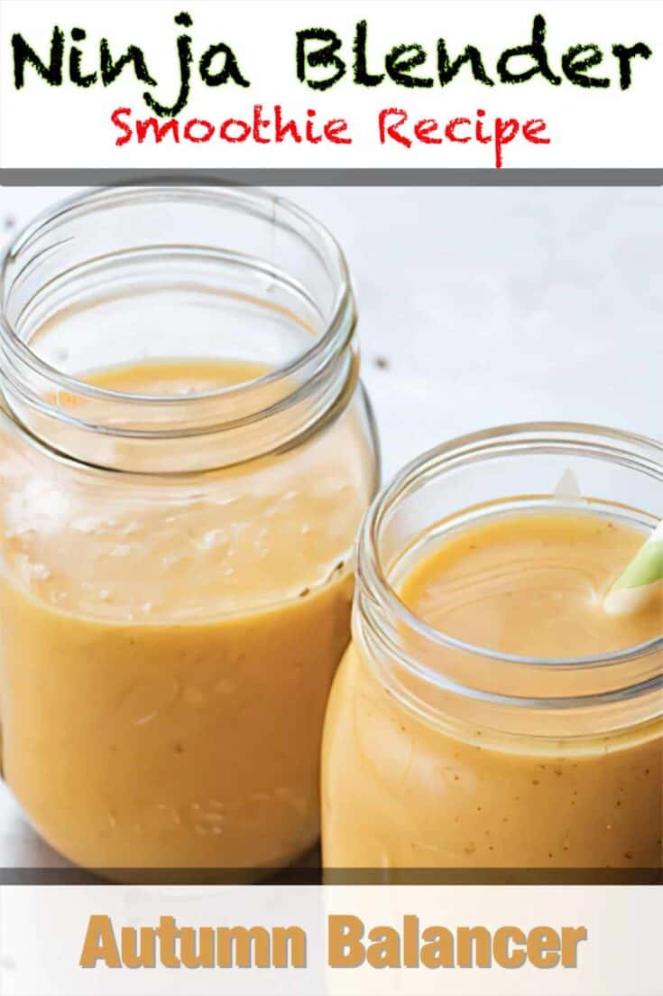 ninja blender autumn balancer smoothie recipe pin