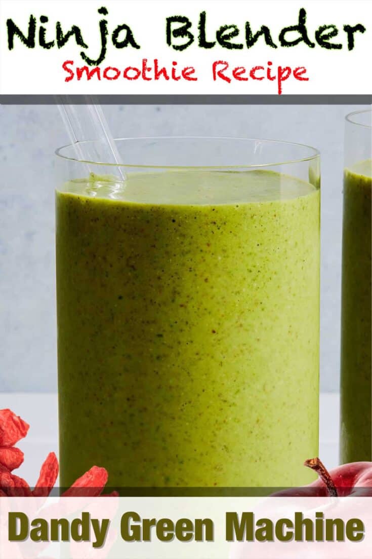 ninja blender dandy green machine smoothie recipe pin