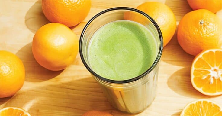 Ninja Blender Tangerine Protein Machine Smoothie Recipe