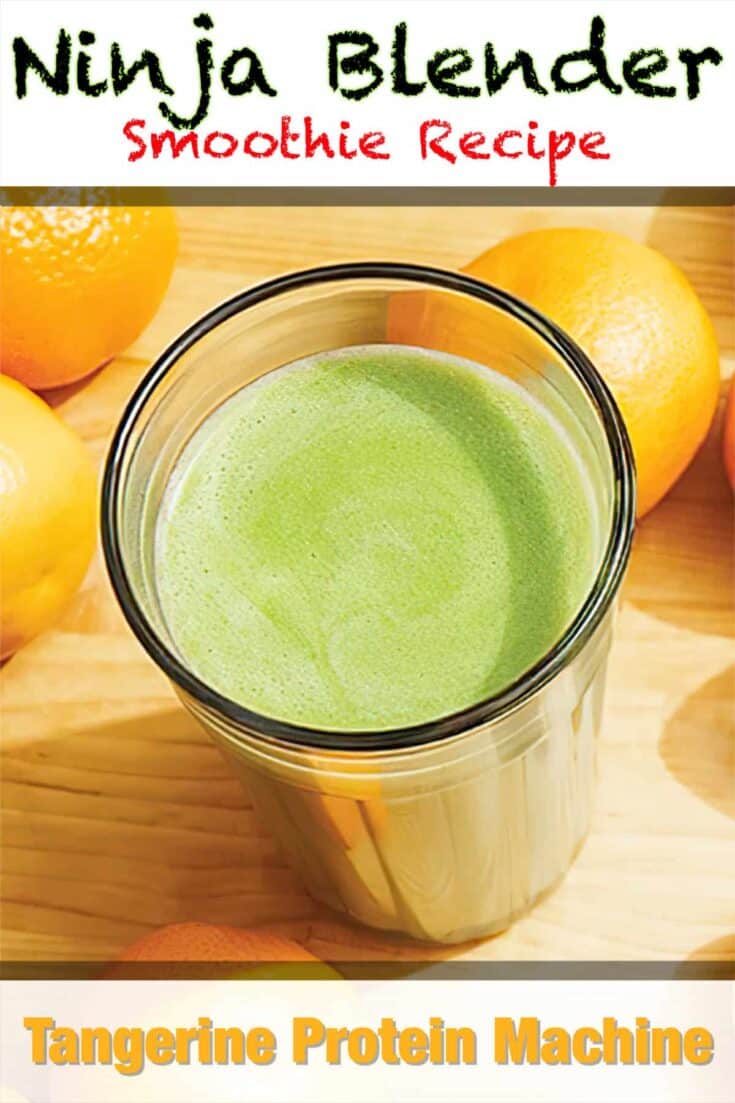 ninja blender tangerine protein machine smoothie recipe pin