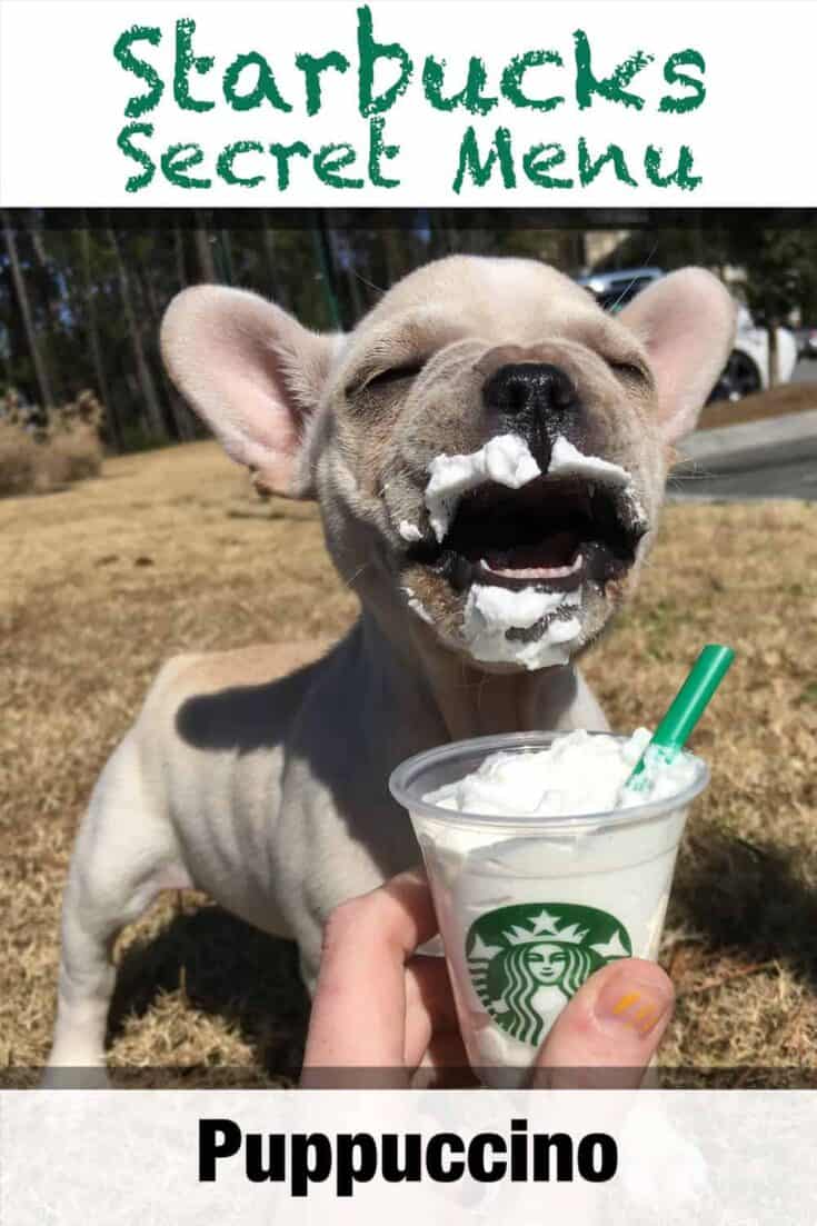 starbucks secret menu puppuccino recipe p