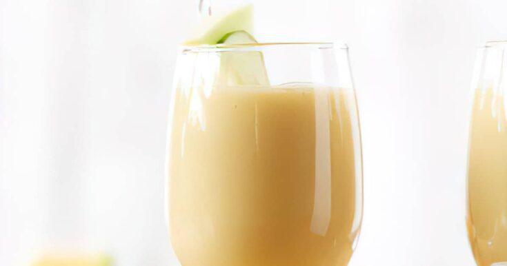 Vitamix Cucumber Melon Smoothie Recipe