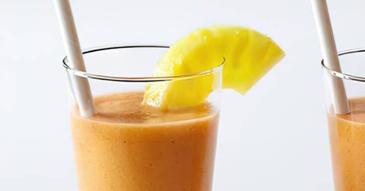 Vitamix Fruit Salad Smoothie Recipe